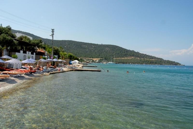 Torba Residence Bagian luar foto